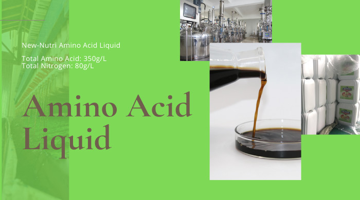 Dernière affaire concernant High concentration amino acid liquid, amino acid 35%, nitrogen 8%