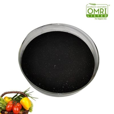 45% Organic Matter 100 Mesh Soluble Kelp Powder