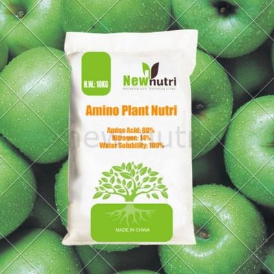 80% Compound Amino Acid Powder