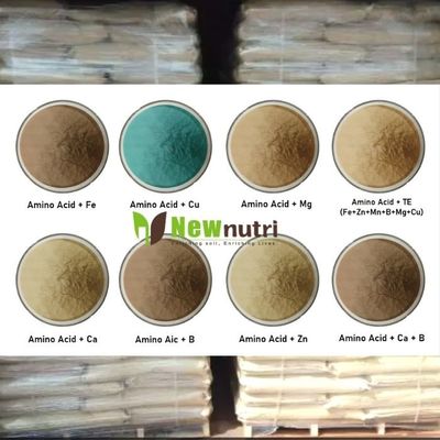 Powder 100% Soluble Chelated B Amino Acid Fertilizer For Plants