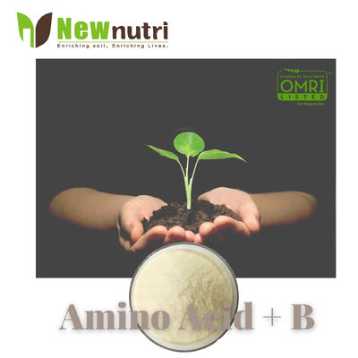 Powder 100% Soluble Chelated B Amino Acid Fertilizer For Plants