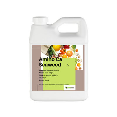 50g/L Amino Acid Ca Kelp Seaweed Fertilizer