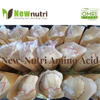 PH6 Powder 60% Nitrogen Organic Fertilizer