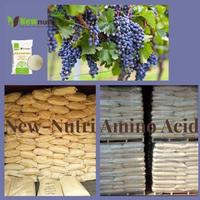 PH6 Powder 60% Nitrogen Organic Fertilizer