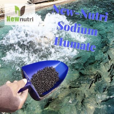 65% Humic Acid Leonardite Potassium Humate Fertilizer