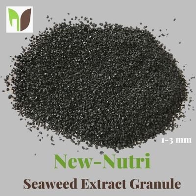 15% NPK 3mm Granule Seaweed Extract Powder Fertilizer
