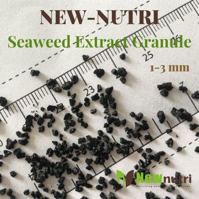 15% NPK 3mm Granule Seaweed Extract Powder Fertilizer