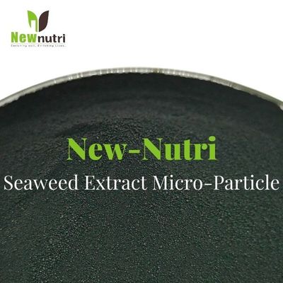 100% Water Soluble 1mm Micro Particle Seaweed Extract Powder Fertilizer
