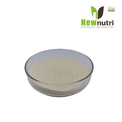 15% Nitrogen 70% Enzymolysis Amino Acid Organic Fertilizer
