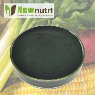 1mm Micro Particle Potassium Humate Fertilizer
