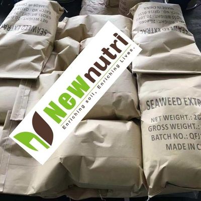 1% Phosphorus 10% Alginic Acid Seaweed Extract Powder Fertilizer