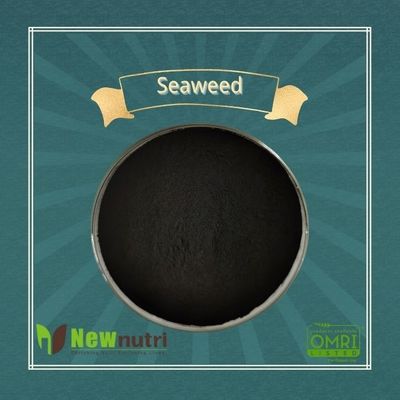 1% Phosphorus 10% Alginic Acid Seaweed Extract Powder Fertilizer