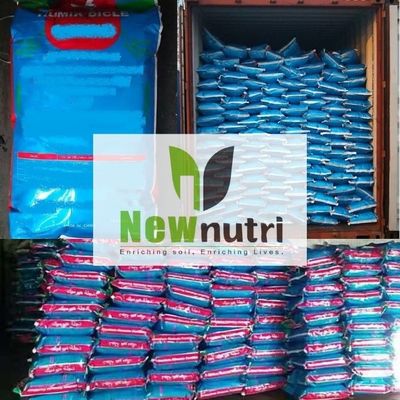 3mm Granular Oil Drilling Humic Acid Fertilizer