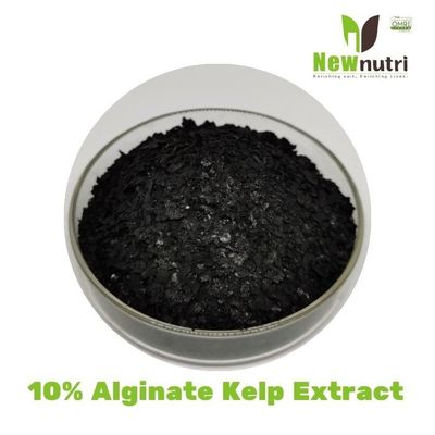 OMRI 10% Alginate Kelp Extract Powder
