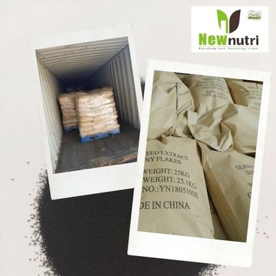 OMRI 10% Alginate Kelp Extract Powder