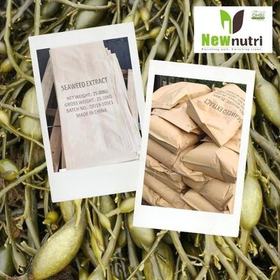 10% Potassium 4% Alginate Kelp Extract Powder