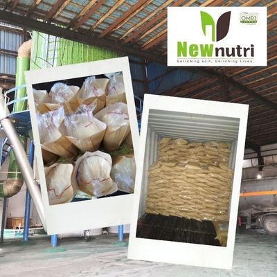 100% Water Soluble 36% Amino Acid Vegetable Garden Fertilizer