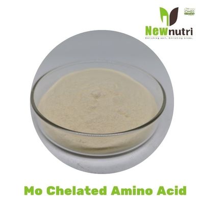 100% Water Soluble 16% Molybdenum Compound Amino Acid Powder