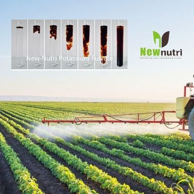 100% Water Soluble Shiny Flakes Potassium Humate Fertilizer