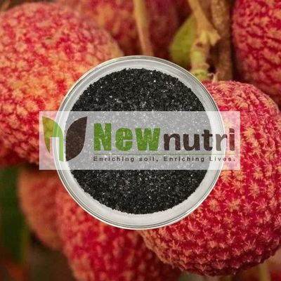 100% Water Soluble Shiny Flakes Potassium Humate Fertilizer