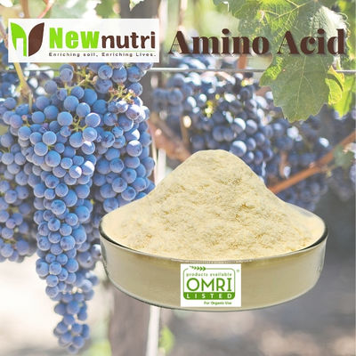 Water Soluble Organic Plant Source 80% Amino Acid Powder