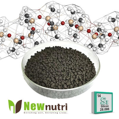 Anti Lodging 100% Water Soluble 4mm Humic Acid Organic Fertilizer