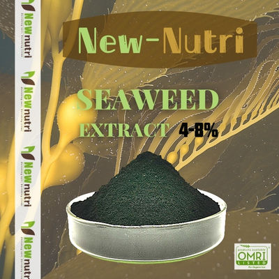 100 Mesh 98% Water Solubility Kelp Extract Powder
