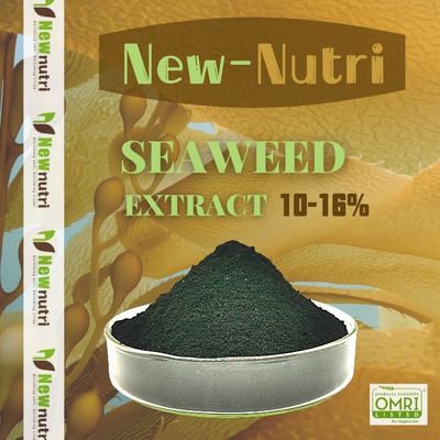 Seaweed Extract High Water Solubility Kelp Powder