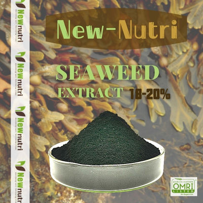 18% Alginic Acid 100 Mesh Seaweed Extract Powder