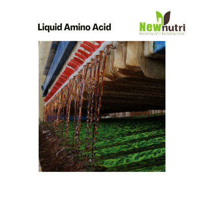 PH3 30% Free Amino Acid Liquid Amino Acid Organic Fertilizer