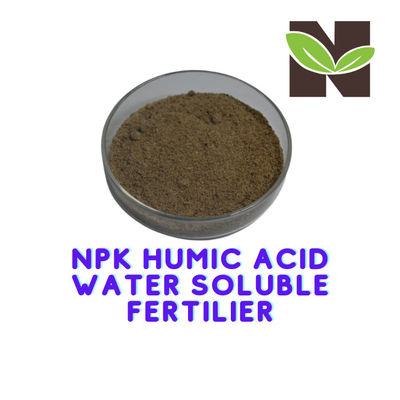 High K2O Water Soluble Humic Acid Organic Fertilizer Powder Form