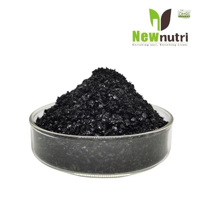 5% Fulvic Acid 12% Moisture Organic Potassium Fertilizer