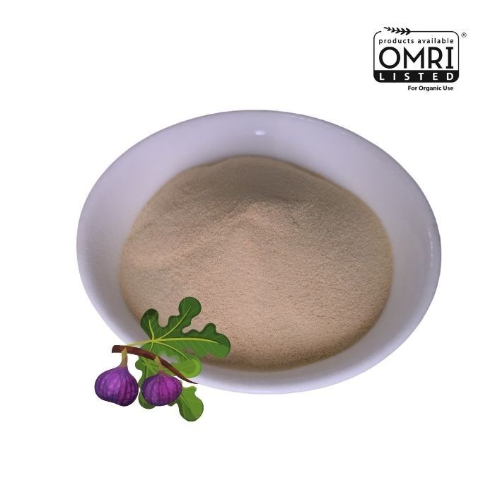 80% Amino Acid 13% Nitrogen Natural Fertilizer