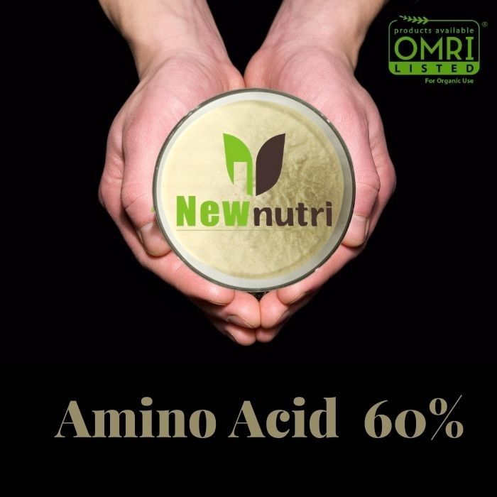 Light Yellow 14% Nitrogen 60% Amino Acid Organic Fertilizer