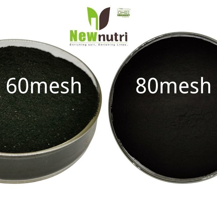 Shiny Powder 70% Water Soluble Sodium Humic Acid