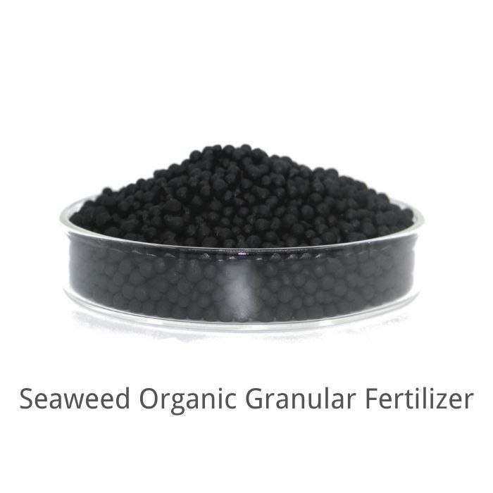 15% NPK 10% Humic Acid Seaweed Extract Powder Fertilizer