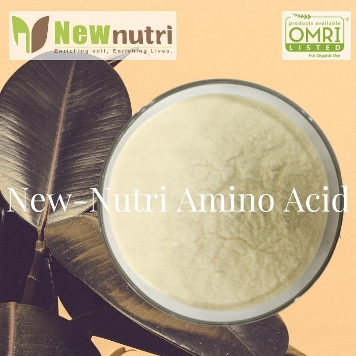 PH6 Powder 60% Nitrogen Organic Fertilizer