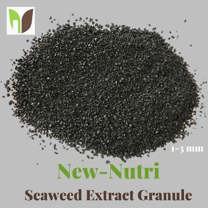 15% NPK 3mm Granule Seaweed Extract Powder Fertilizer