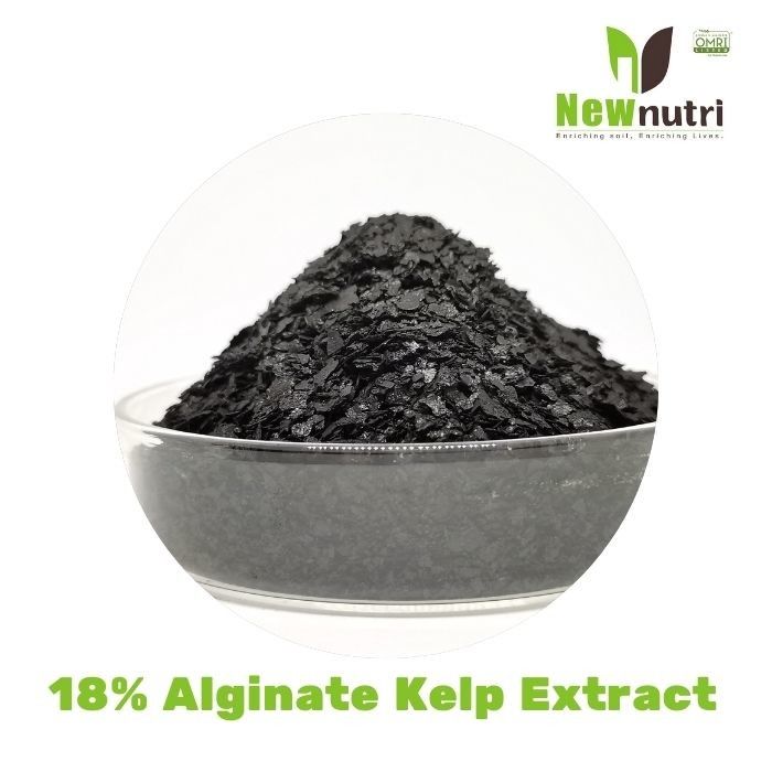 18% Alginate Kelp Extract Powder