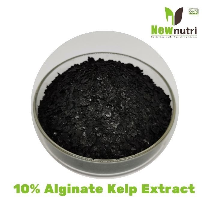 OMRI 10% Alginate Kelp Extract Powder