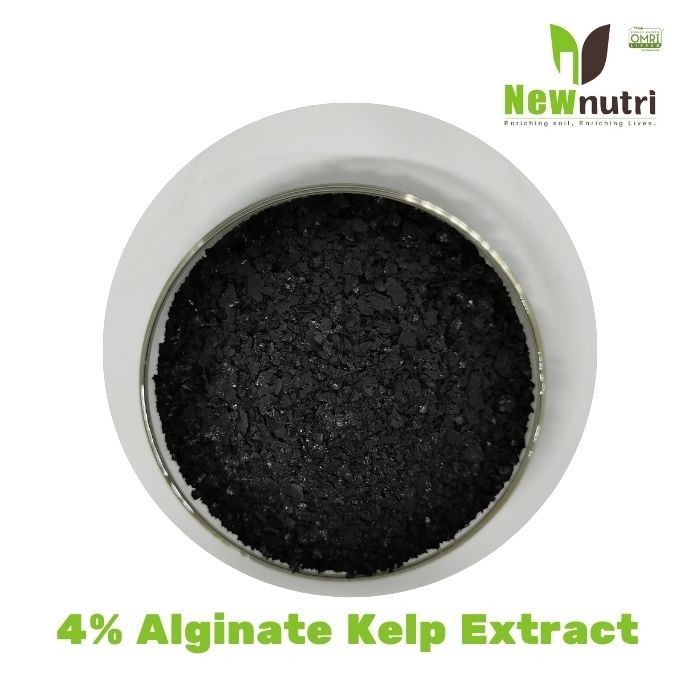 10% Potassium 4% Alginate Kelp Extract Powder