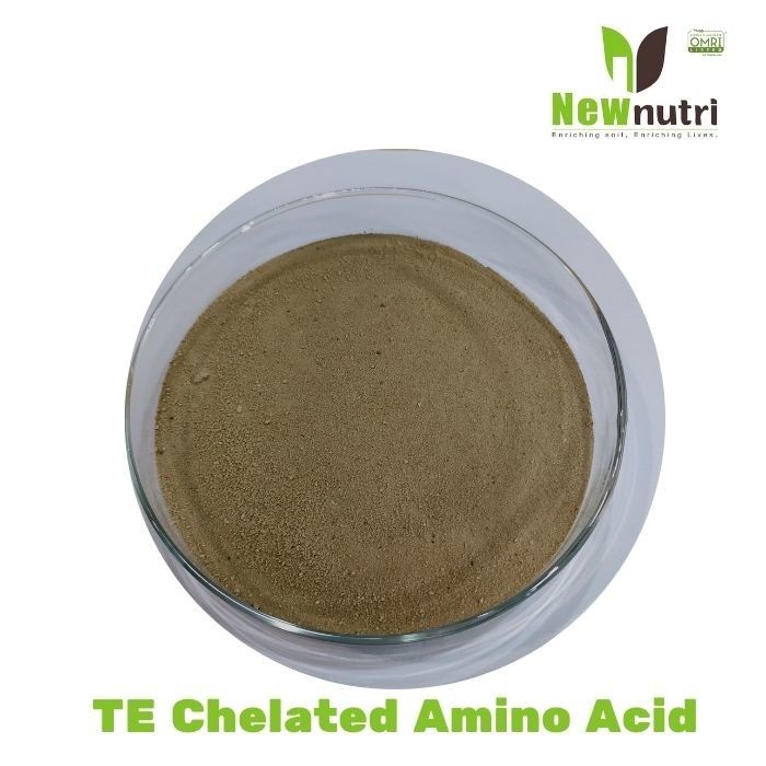 Chelated TE 25% Amino Acid Organic Compound Fertilizer