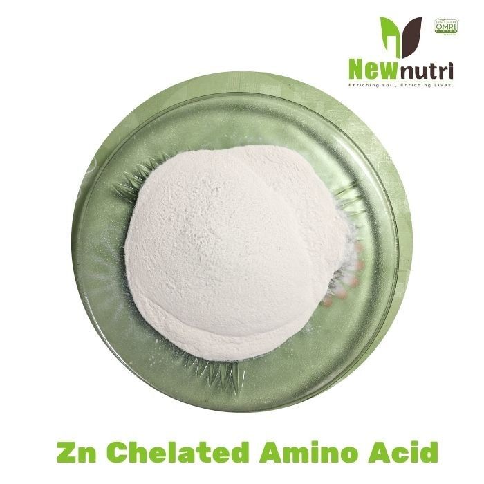 Powder Zn Chelated 25% Amino Acids Plant Fertilizer