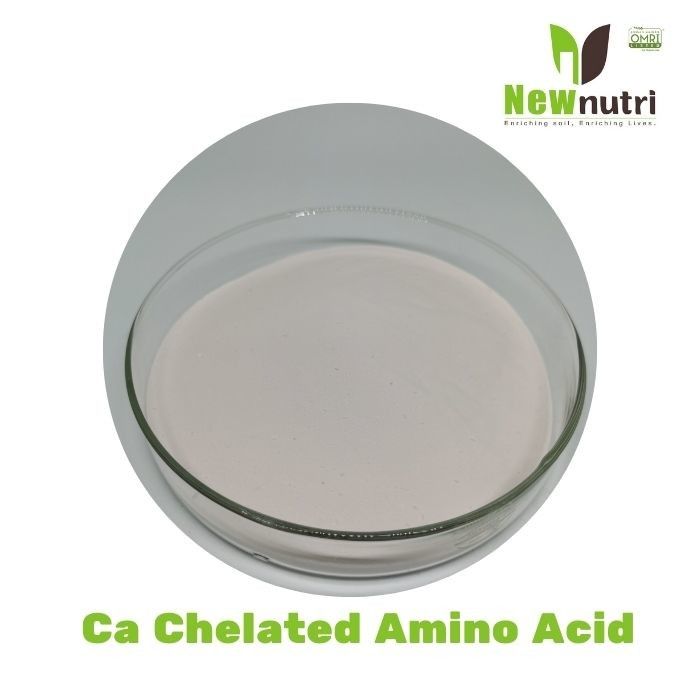 100% Water Soluble 36% Amino Acid Vegetable Garden Fertilizer