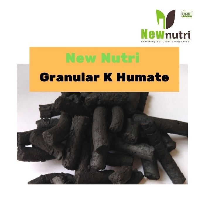 90% Water Soluble Columnar Potassium Humate Fertilizer