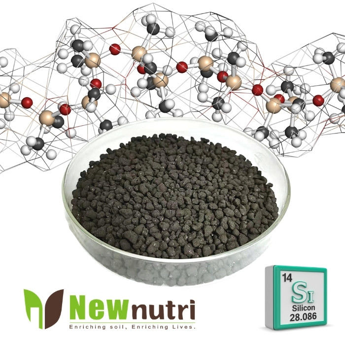 Anti Lodging 100% Water Soluble 4mm Humic Acid Organic Fertilizer