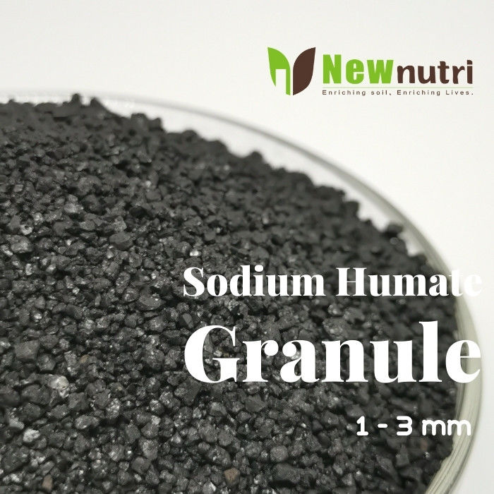 Water Soluble Sun Dried Granular Sodium Humate 3mm