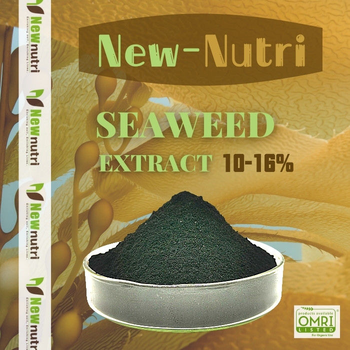 Seaweed Extract High Water Solubility Kelp Powder