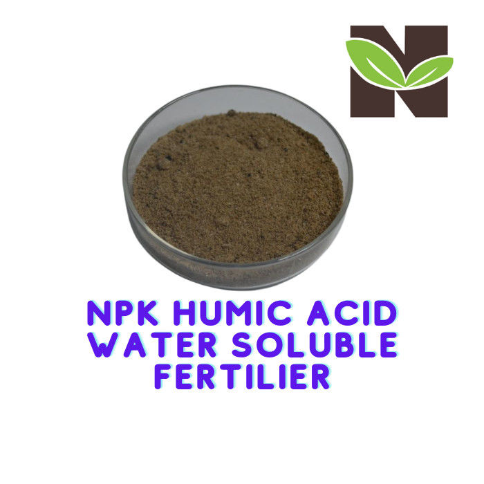 High K2O Water Soluble Humic Acid Organic Fertilizer Powder Form